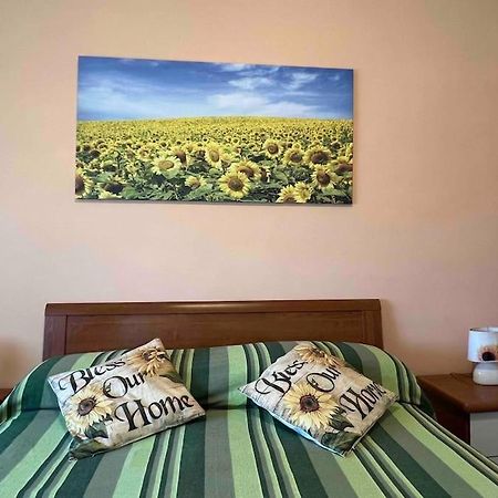 Bed and Breakfast Vicino A Tutto Верчеллі Екстер'єр фото